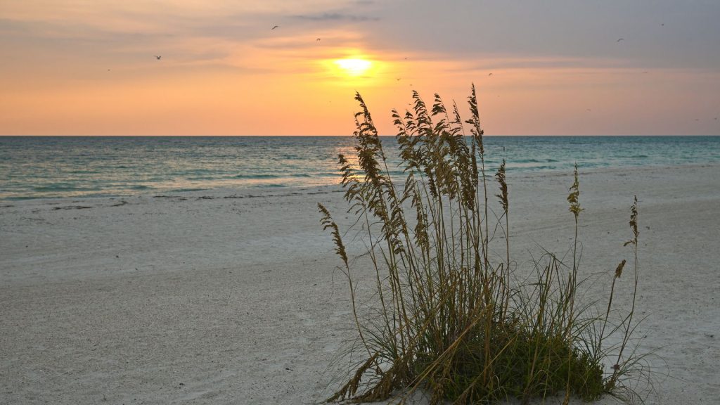 video surveillance of the beautiful Gulf Coast