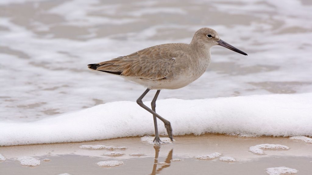 video surveillance use case observing the area